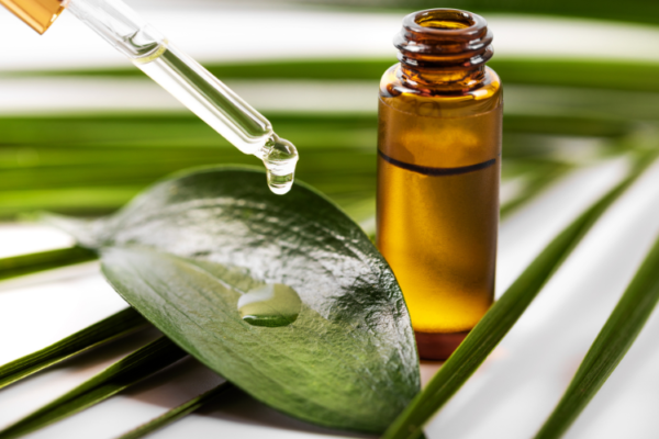 Cardamom Essential Oil Market Size, Growth & Trends 2026-2035