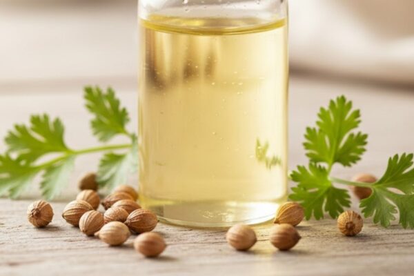 Coriander Oil Market Trends Outlook 2026 to 2035
