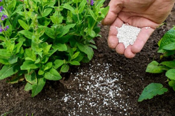 India Fertilizer Market Outlook 2026–2035: Growth Drivers, Market Segmentation, and Key Challenges