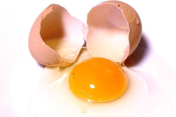 Global Liquid Eggs Market: Growth Drivers and Future Outlook (2026-2035)