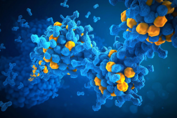 Polymer Binder Market Size, Share and Growth Trends 2026-2035