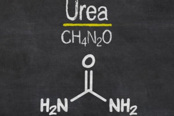 Urea Market Outlook 2026–2035: Growth Drivers, Trends, and Key Challenges
