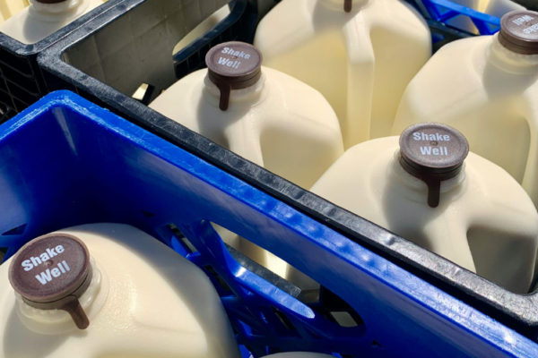 India Dairy Market Outlook 2026–2035