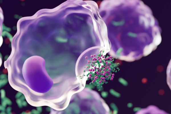 Sustained Release Coatings Market Growth & Trends 2026-2035