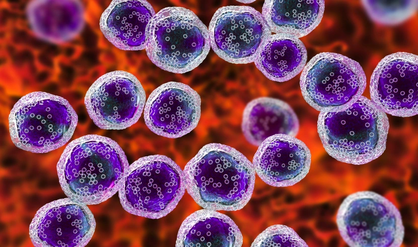 Adult Malignant Glioma Therapeutics Market