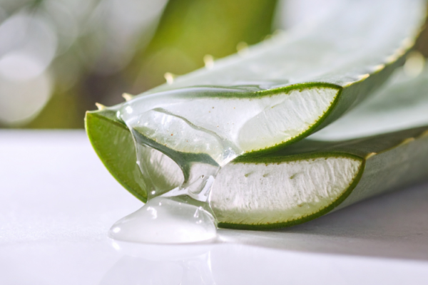 Cellulose Gel Market Growth, Size & Trends 2026-2035