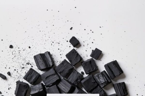 Charcoal Briquette Market Outlook 2026–2035: Household Energy Demand