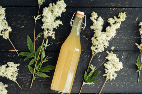 Malaysia Cordial Drink Market Growth, Size & Trends 2035