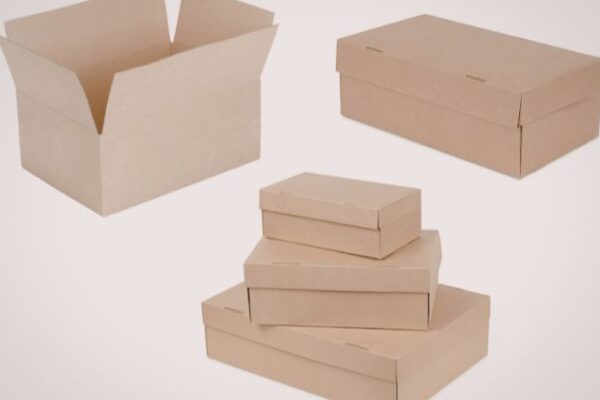 Global Folding Boxboard Market Outlook (2026–2035)
