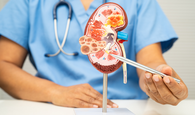 Gaucher’s Disease Treatment Market