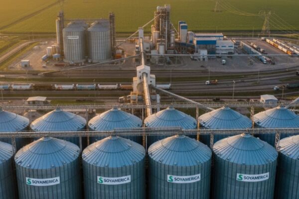 Latin America Vegetable Oil Market Share 2026-2035