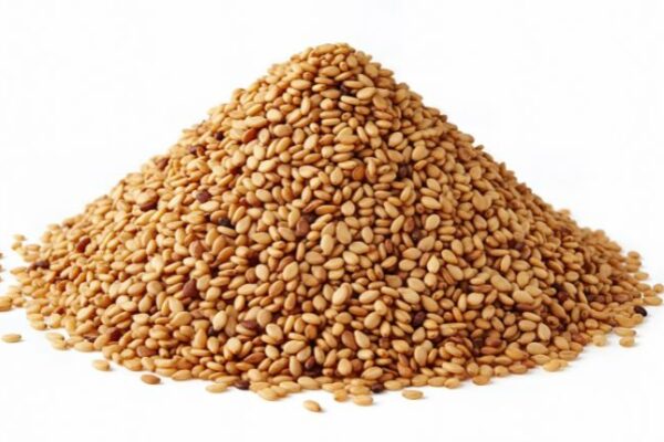 Global Parsley Seeds Market Outlook & Growth (2026–2035)