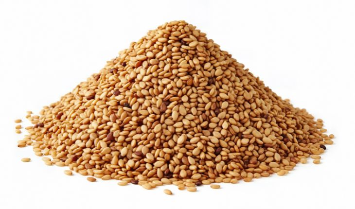 Parsley Seeds Market