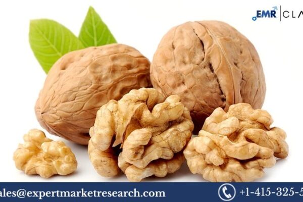 Walnut Market Size, Trends & Growth 2026-2035