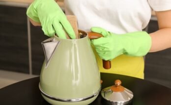 How to Clean Electric Kettle: A Step-by-Step Guide